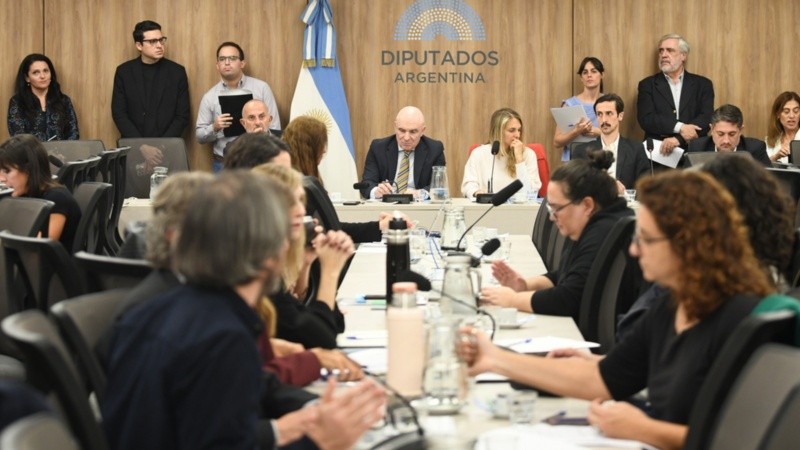 Las comisiones de Previsión y Seguridad Social y de Presupuesto y Hacienda de Diputados.