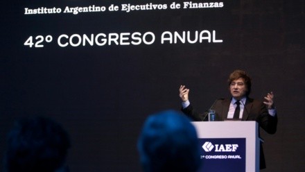 Milei en el congreso anual de IAEF ratificó que se viene el nuevo blanqueo.