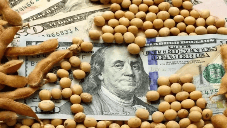 Fase 3: ¿el esquema cambiario puede impactar de lleno en el precio de los granos?