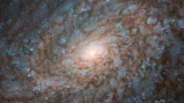 Los pulsos tienen características únicas que los diferencian de otros de su tipo.