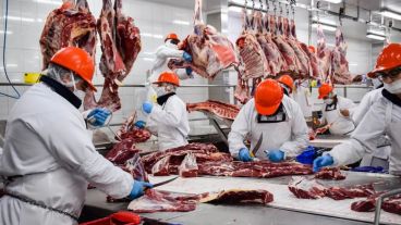 Las exportaciones de carne argentina hacia Estados Unidos dieron un salto, pero cayeron las ventas hacia China.