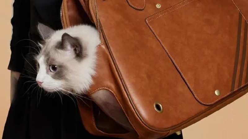 Una cápsula ideal para matchear outfits con las mascotas.