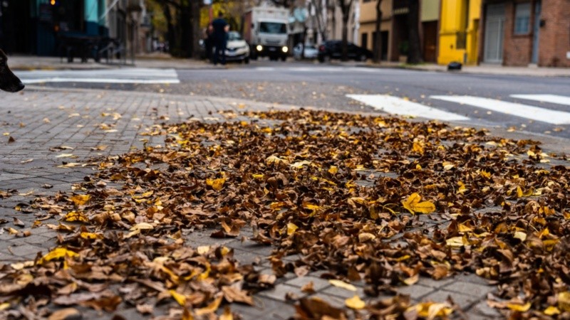 El otoño tendrá un cambio brusco esta semana en Rosario.