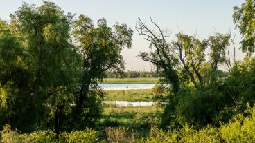 Técnicos, científicos, organizaciones de la sociedad civil y funcionarios debatieron sus políticas de conservación.