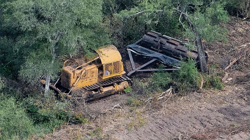Denuncian que el desmonte en Chaco esconde una trama de complicidades y corrupción.