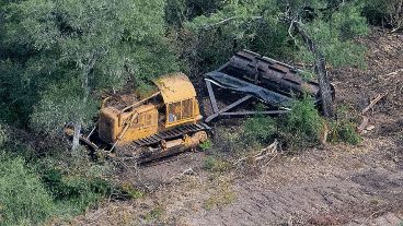 Denuncian que el desmonte en Chaco esconde una trama de complicidades y corrupción.