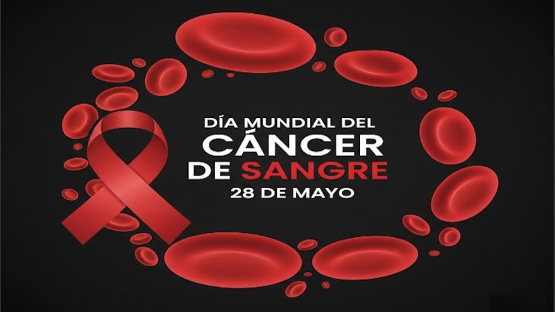 El 28 de mayo es el Día Mundial del Cáncer de la Sangre.