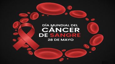 El 28 de mayo es el Día Mundial del Cáncer de la Sangre.