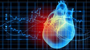 El descubrimiento también ofrece nuevas estrategias para desarrollar en medicina regenerativa y bioingeniería de tejidos.