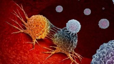 Además de mostrar mayor probabilidad de haber eliminado completamente el cáncer al momento de la cirugía, los pacientes estudiados presentaron menores tasas de recaída.