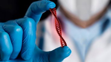 Las variantes genéticas pueden modificar la expresión y función de las proteínas, incluso aquellas encargadas de la metabolización de los medicamentos.