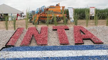 El Instituto Nacional de Tecnología Agropecuaria está bajo amenaza por el ajuste.