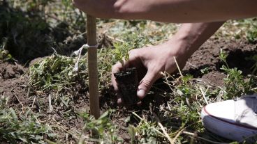 "No son las grandes acciones, sino las de cada día las que marcan la diferencia", subraya la Lic. Laura Baldarenas de Federada.
