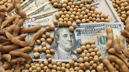 Dólar y retenciones. ¿Qué pasará en el segundo semestre?