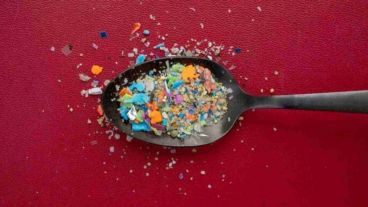 Abrir una botella de agua, cortar sobre una tabla de plástico o calentar comida en un tupper, son algunas de las pequeñas acciones que pueden liberar partículas plásticas.