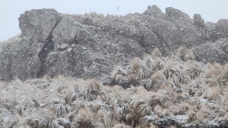 La nieve en la zona de Merlo, San Luis.