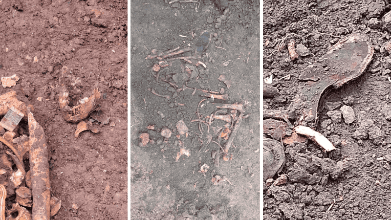 Mientras tanto, el fiscal aguarda los resultados de los análisis forenses sobre los restos óseos.