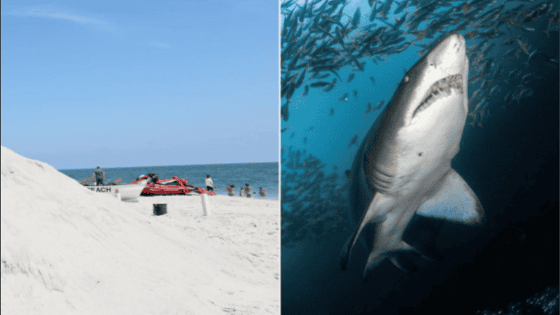 La experiencia de Darren Kaye generó un debate en la comunidad de surfistas.