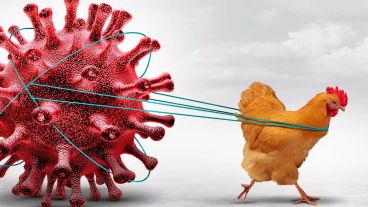 La vacuna emplea la misma tecnología usada en la producción de la vacuna contra la gripe estacional.