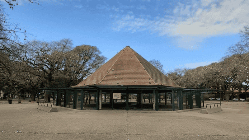 La construcción prácticamente no recibe palomas y se está viniendo abajo.