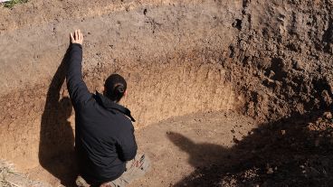 El suelo tiene diferentes capas u horizontes con colores, texturas y estructuras particulares.