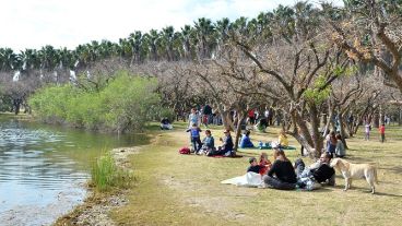 El Bosque de los Constituyentes es el espacio verde más grande de la ciudad de Rosario con escala regional..
