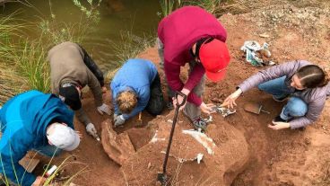 El milodón fue parte de la megafauna sudamericana.