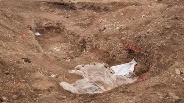 El hallazgo ocurrió durante trabajos de excavación y generó conmoción entre los vecinos.