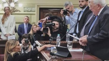 Granata mostró su disconformidad en varios momentos el primer día de debates de la reforma de la Constitución.