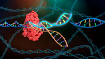 El nuevo tratamiento, conocido como transferencia pronuclear, es eficaz para reducir el riesgo de estas enfermedades que actualmente son incurables.