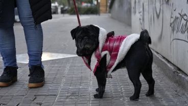 Es invierno. Todo el abrigo encima otra vez.