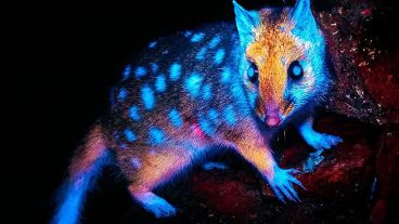 Las fotografías fueron tomadas durante un viaje de campamento en 2024.