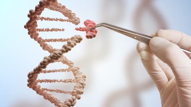 “Hace cinco años la gente habría pensado que entrar en el cerebro de un organismo vivo y corregir el ADN era ciencia ficción. Hoy sabemos que es posible