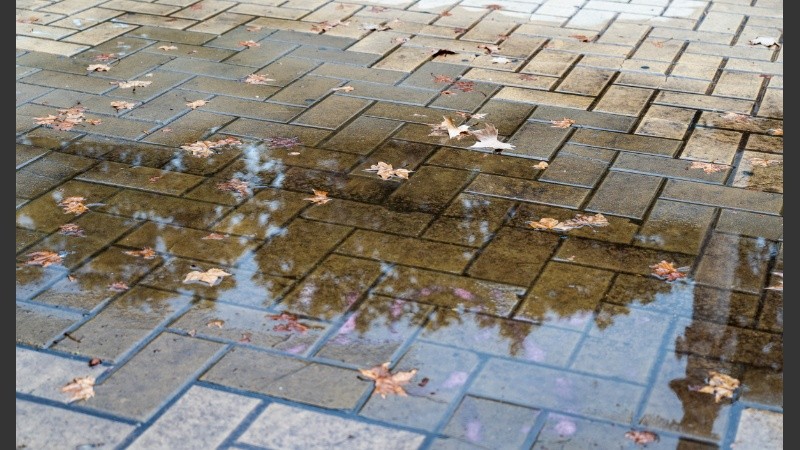 Las lluvias del fin de semana dejaron rastro en las calles.