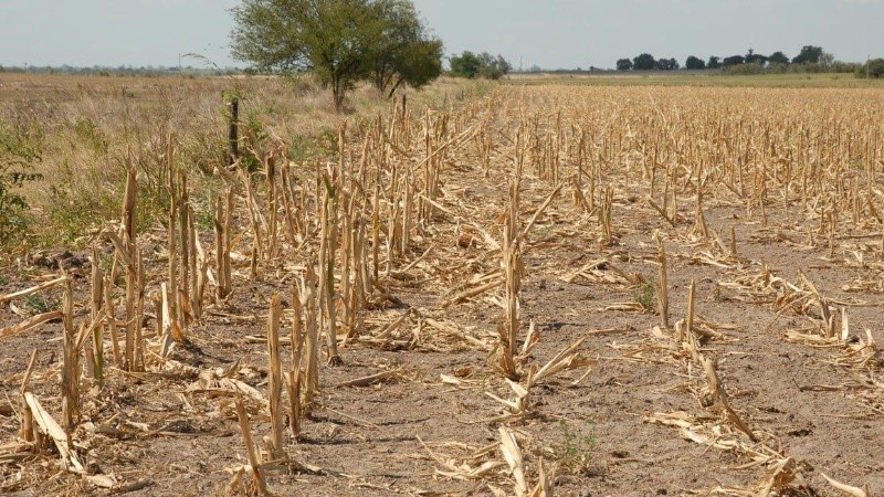 El estudio destacó la necesidad urgente de tomar medidas para abordar la crisis del agua en todo el mundo