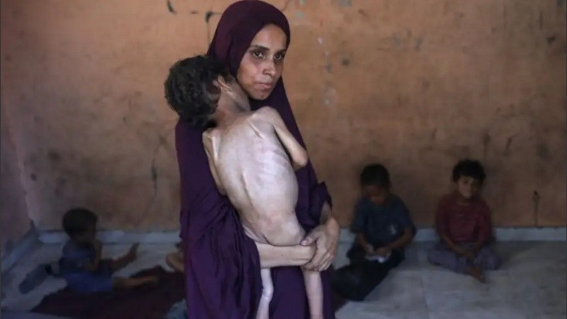 La ONU advierte hambruna en Gaza.