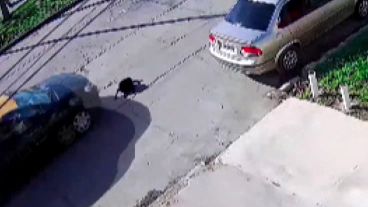 El último instante en la vida de "Negrito".