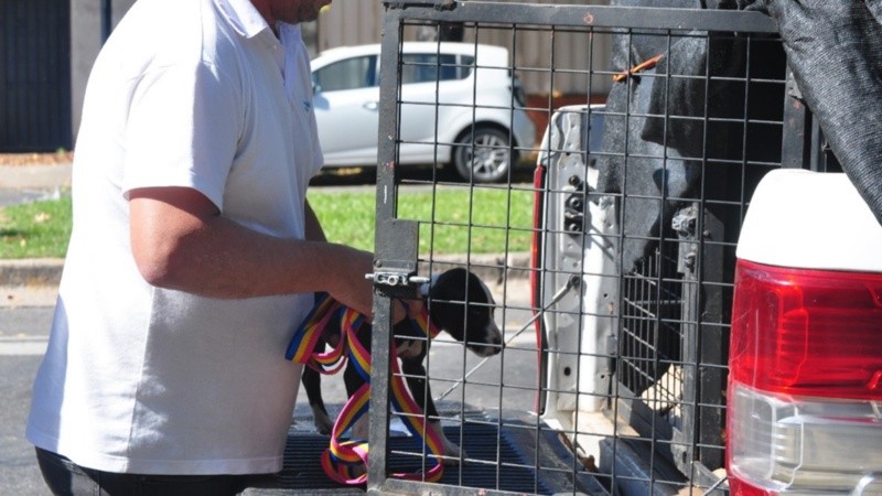 Las intervenciones crecieron el 25 por ciento respecto del año pasado.