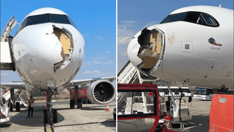 La causa del incidente se atribuyó al impacto con el pájaro.