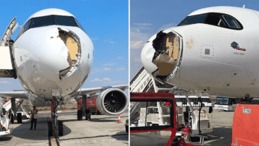 La causa del incidente se atribuyó al impacto con el pájaro.