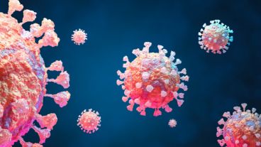 Si bien se trata de una variante con bajo riesgo adicional para la salud, se recomienda actualizar la vacunación para una mejor protección.