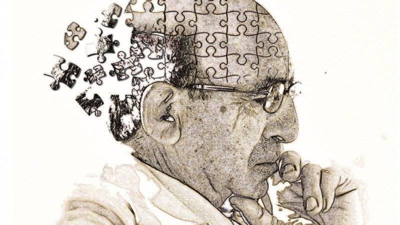 Los dos proyectos se encuentran en el Centro de Investigaciones en Química Biológica de Córdoba (CIQUIBIC, CONICET-UNC).