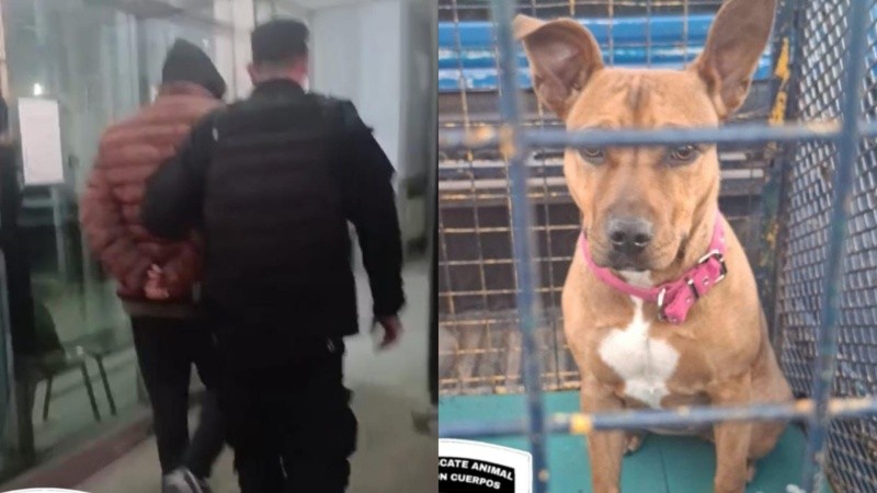 La detención del hombre se efecutó este viernes en una casa de zona oeste, donde estaba la perra.