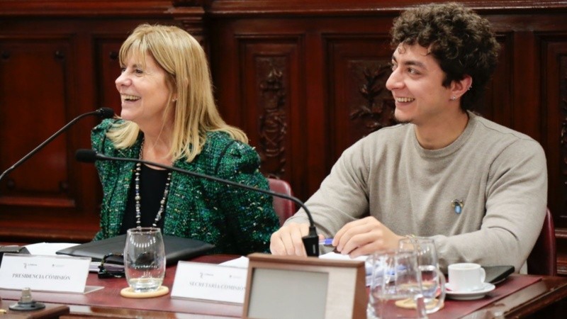 Rodenas y Svegliati en la Comisión de Declaraciones, Derechos y Garantías.