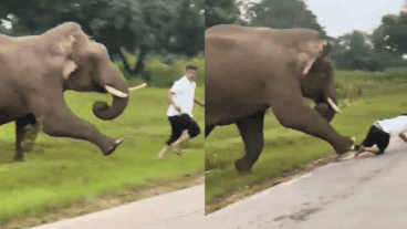 El hombre se salvó, fue multado y tuvo que hacer un video como pena por su accionar.