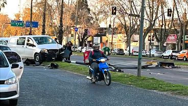 El coche quedó dañado y el semáforo, tendido sobre la calzada.