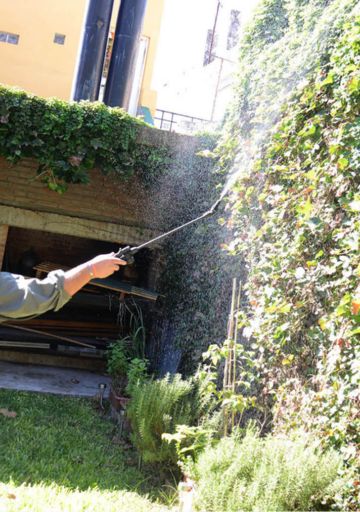 Dengue de clase media: las particularidades del brote 2025 en Rosario y los desafíos que abrió