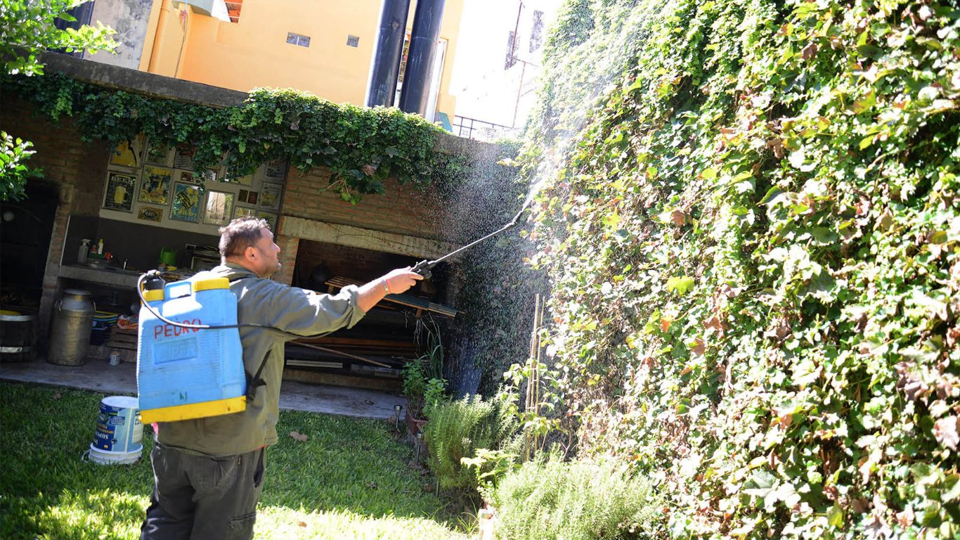 Dengue de clase media: las particularidades del brote 2025 en Rosario y los desafíos que abrió