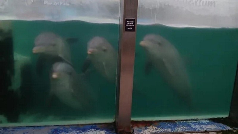 El ex Aquarium cerró sus puertas el 31 de marzo.