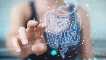 Además, personalizar el ejercicio físico según las características fisiológicas y microbianas de cada persona, puede maximizar sus beneficios.